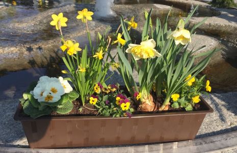 Osterbrunnen 2019 (4)